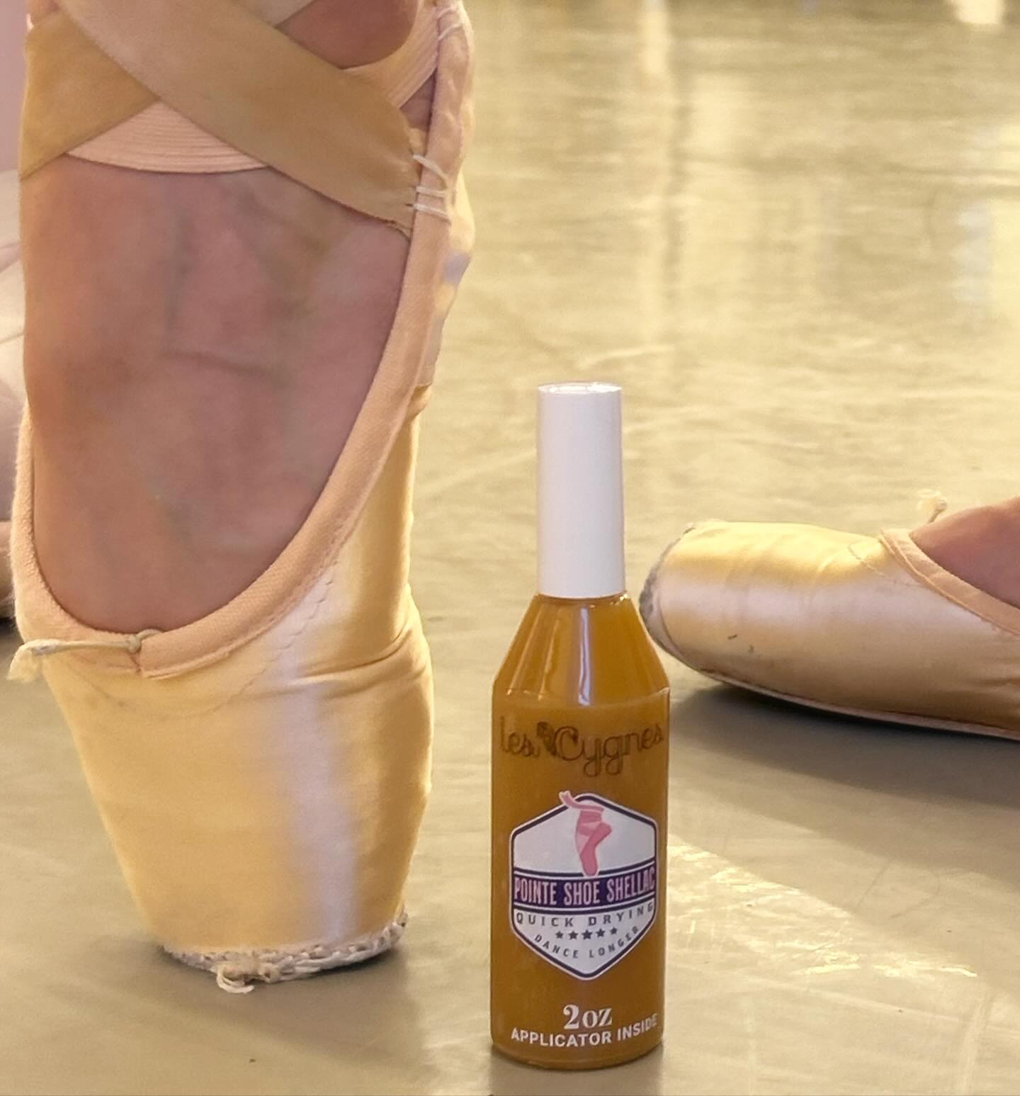 Pointe Shoe Shellac "Les Cygnes"